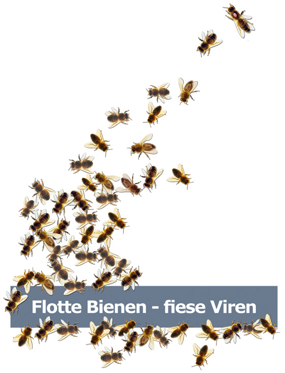 Flotte Bienen - fiese Viren